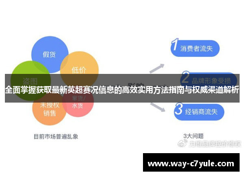 全面掌握获取最新英超赛况信息的高效实用方法指南与权威渠道解析