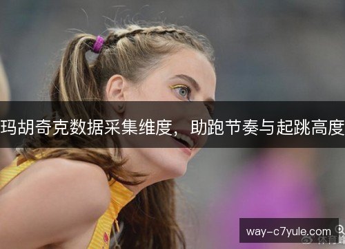 玛胡奇克数据采集维度，助跑节奏与起跳高度